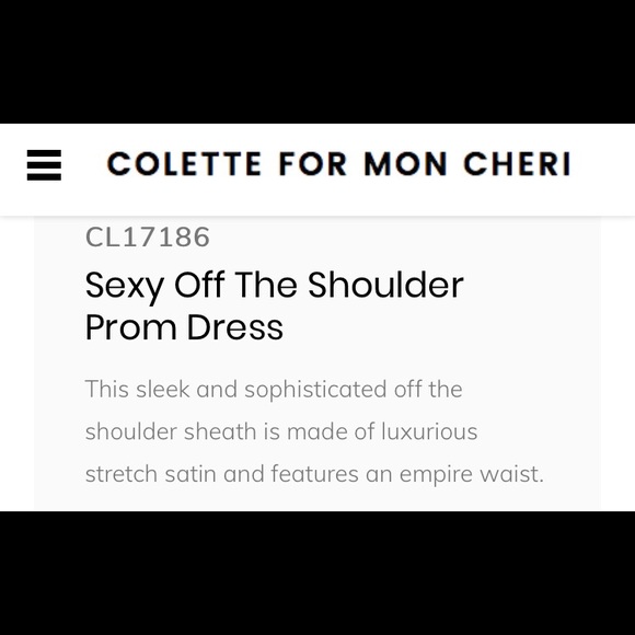 Prom Dress - Picture 4 of 4